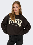 Pullover "gldMESA LIFE" in dunkelbraun