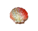 Haarklammer "gldSHELL" mit Glitzer