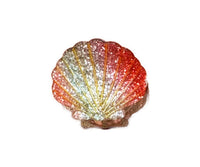 Haarklammer "gldSHELL" mit Glitzer